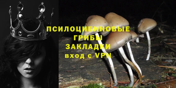 крисы Алексин