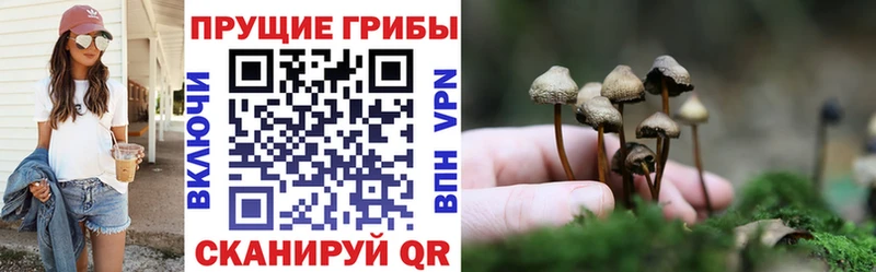 Галлюциногенные грибы ЛСД Переславль-Залесский